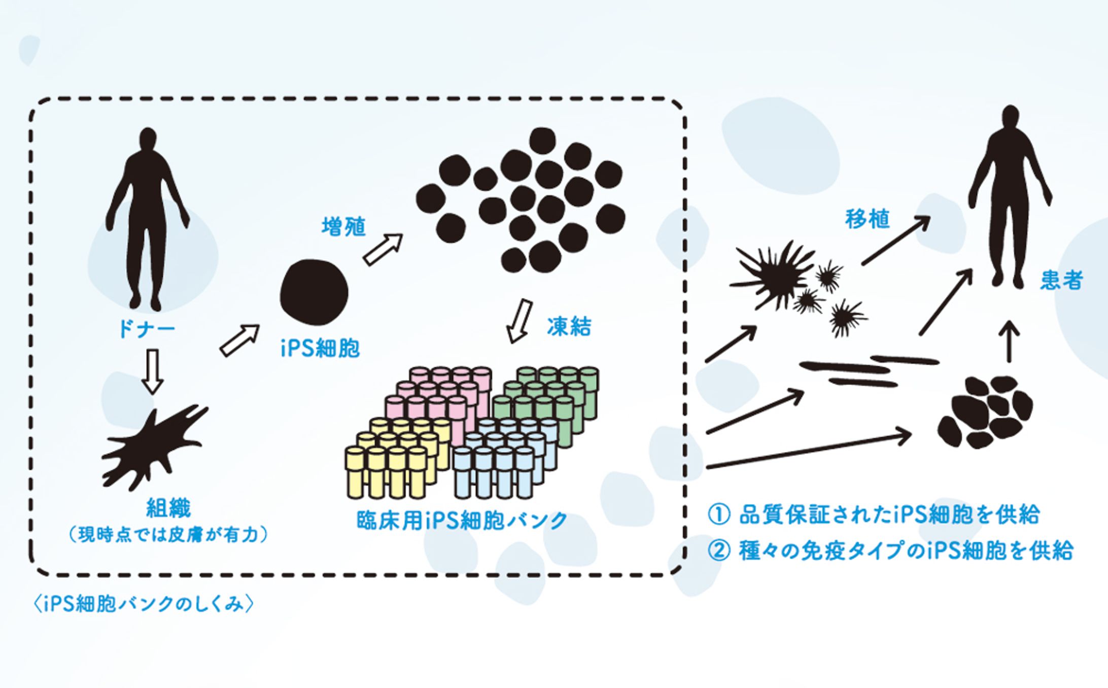 科学情報の図解-1