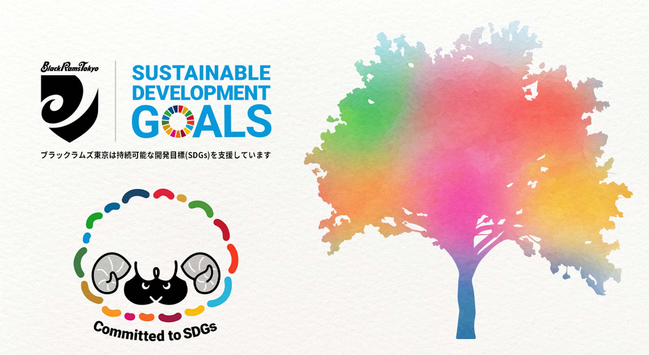 リコーブラックラムズ東京：SDGs取り組み画像-1