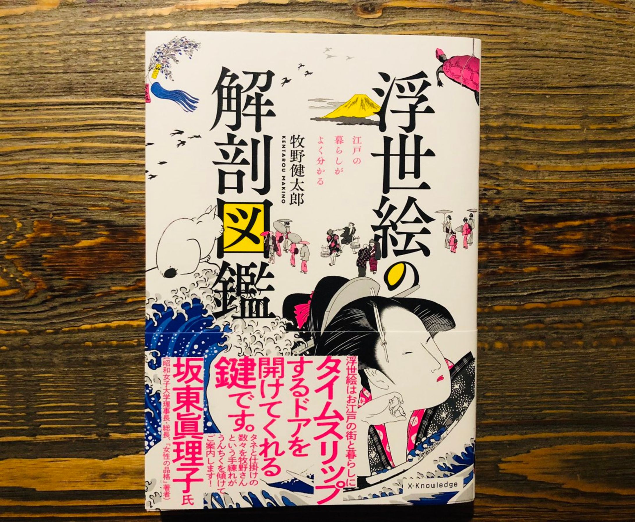 『浮世絵の解剖図鑑』牧野健太郎-1
