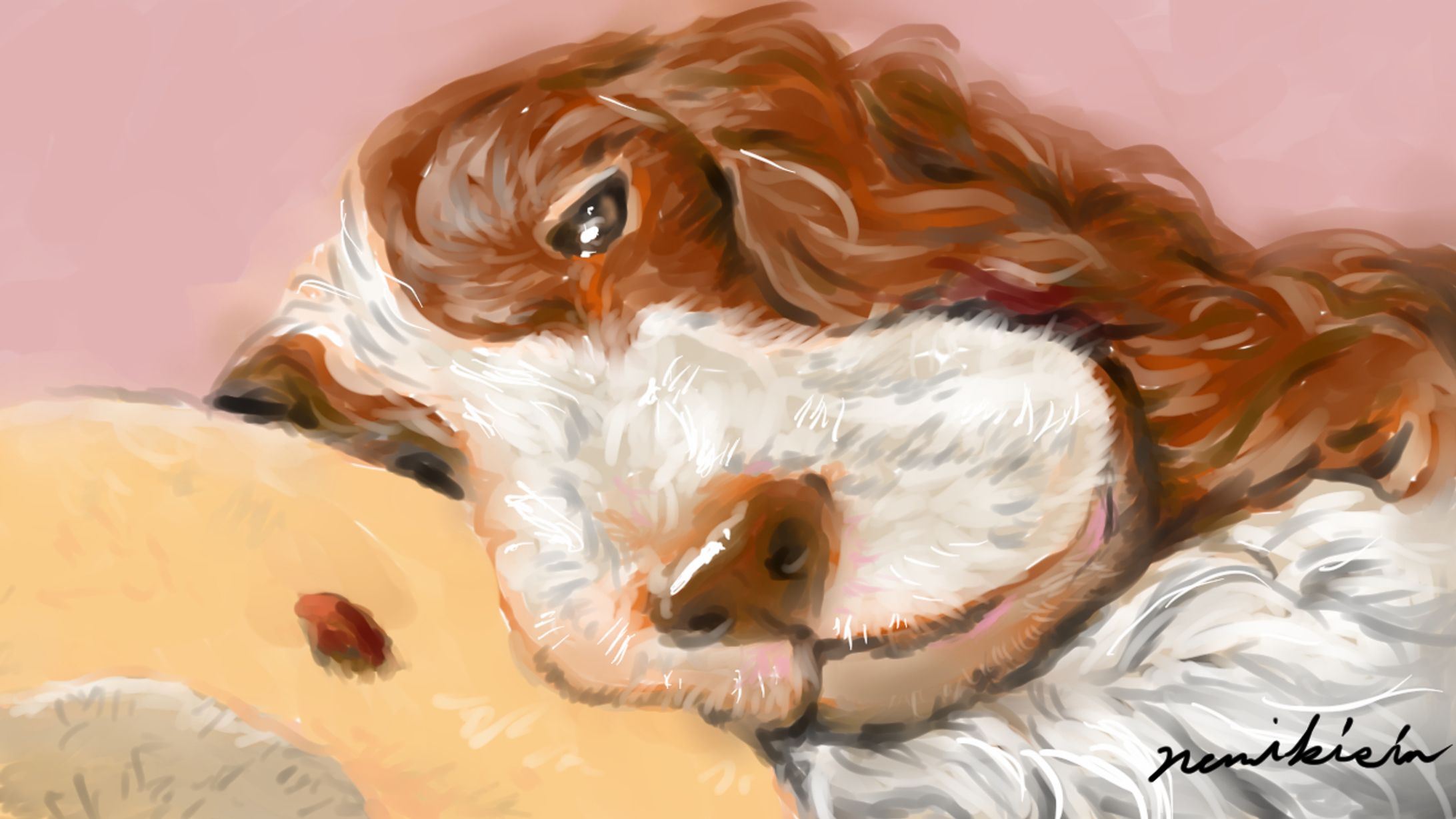 眠い犬-1