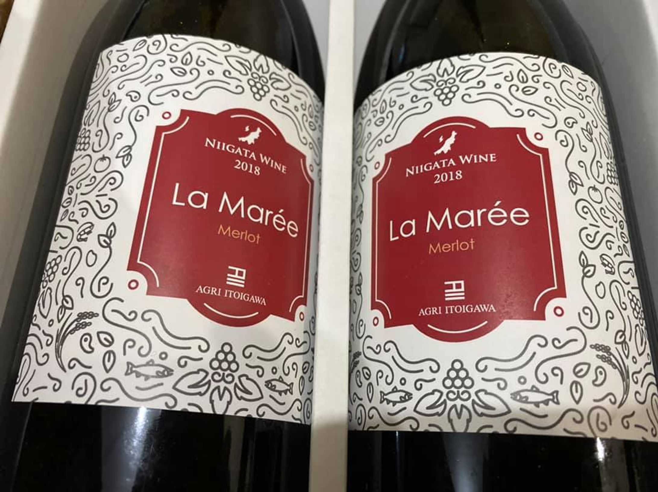 あぐりいといがわ ワインリーフレット文章-1