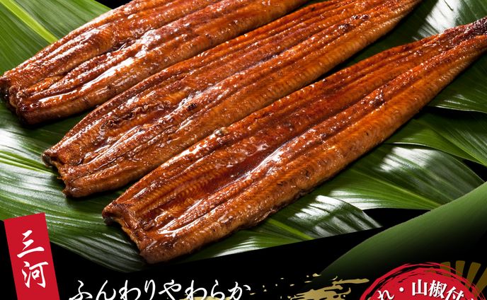 ふるさと納税投稿