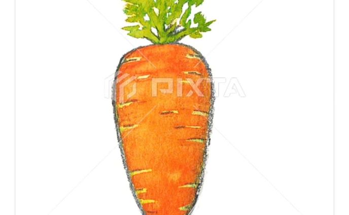 ⁡■【お野菜】
＼🥕人参です🥕／
⁡⁡
⁡⁡
⁡素材イラストとしてPIXTAさまにて販売中〜⁡
⁡よろしくお願いします⁡⁡🙇🏻‍♀️‪‪´-
⁡⁡⁡⁡
⁡
https://pixta.jp/illustration/85452405
⁡⁡⁡
⁡
⁡
⁡#素材イラスト #pixta #ニンジン #にんじん #人参 #carrot #watercolors #水彩色鉛筆 #illustration #イラスト #クライアントさんと繋がりたい #挿絵 #出版社さんと繋がりたい  #食べ物イラスト #野菜イラスト #雑誌のお仕事をしたいです #飲食店さんを応援したい #書籍のお仕事をしたい