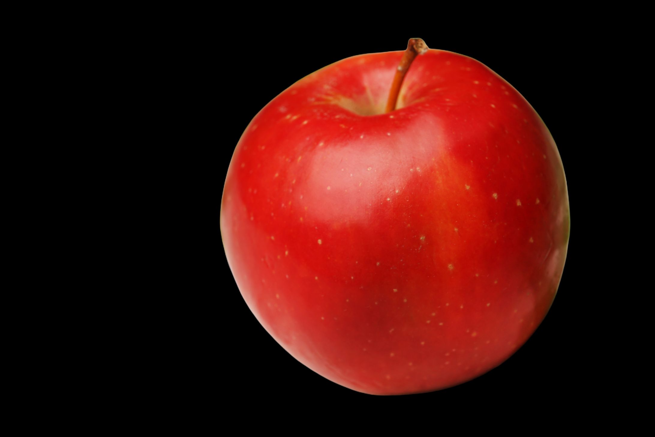 練習:Photoshop切り抜き-1