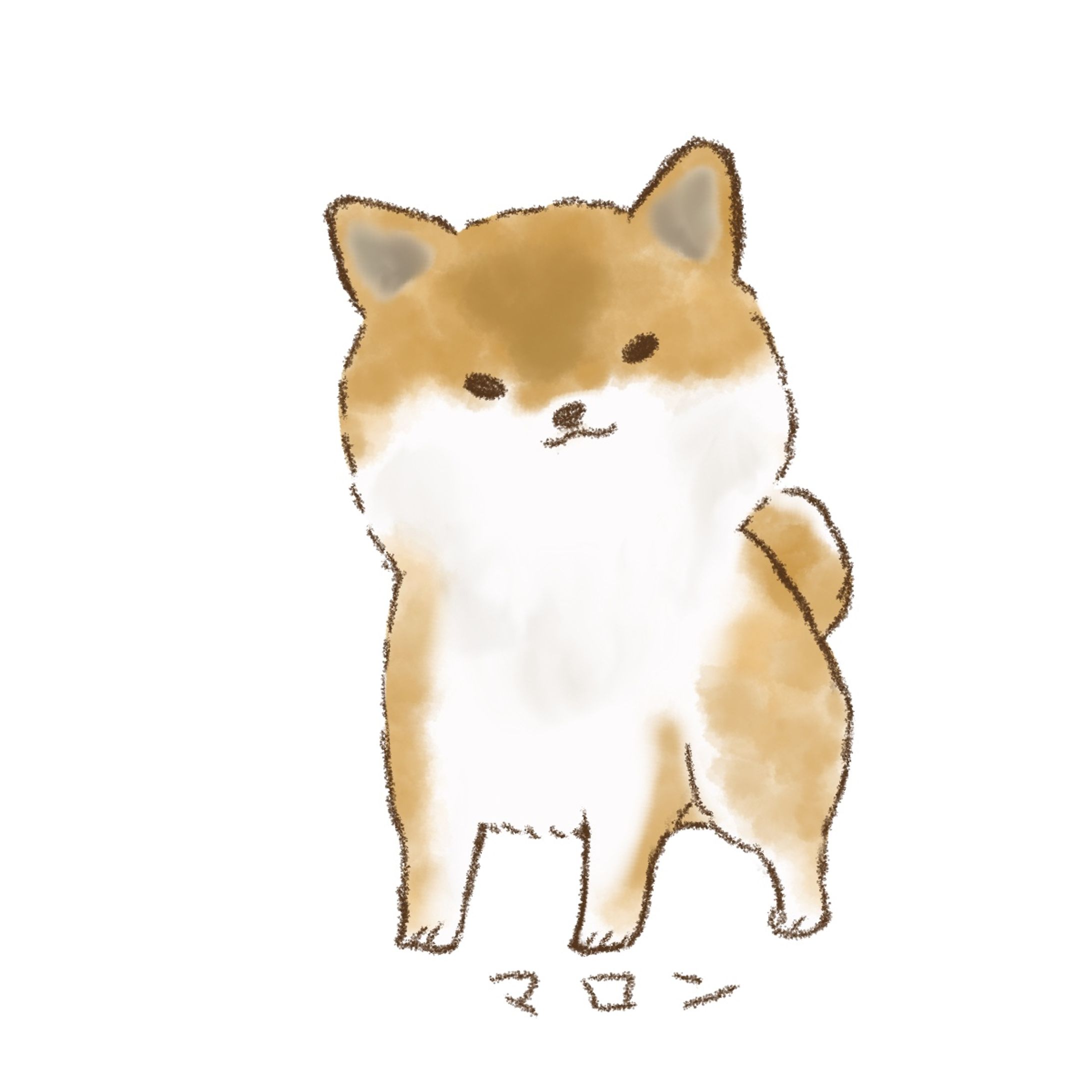 犬のマロンちゃん-1