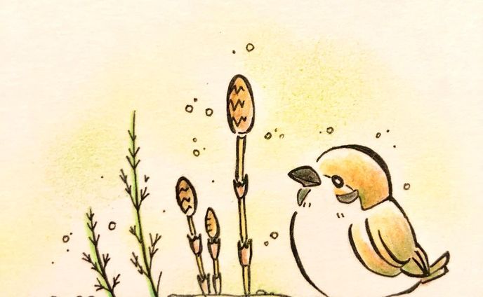 にょきにょき
ぽわぽわ

ふわふわまんまるすずめちゃん
次の冬にまたね🌱

一番私は春が好きだけど
きっと一瞬で夏になるんだろうなぁ

#すずめちゃん #もこもこ #つくし #にょきにょき #ぽわぽわ #春だなぁ #春のお散歩 #次の冬にまた #手描きイラスト #色鉛筆イラスト #手描きイラストオーダー #色鉛筆 #鳥イラスト #動物イラスト #イラストオーダー #ほんわかイラスト #シンプルイラスト #あったかイラスト