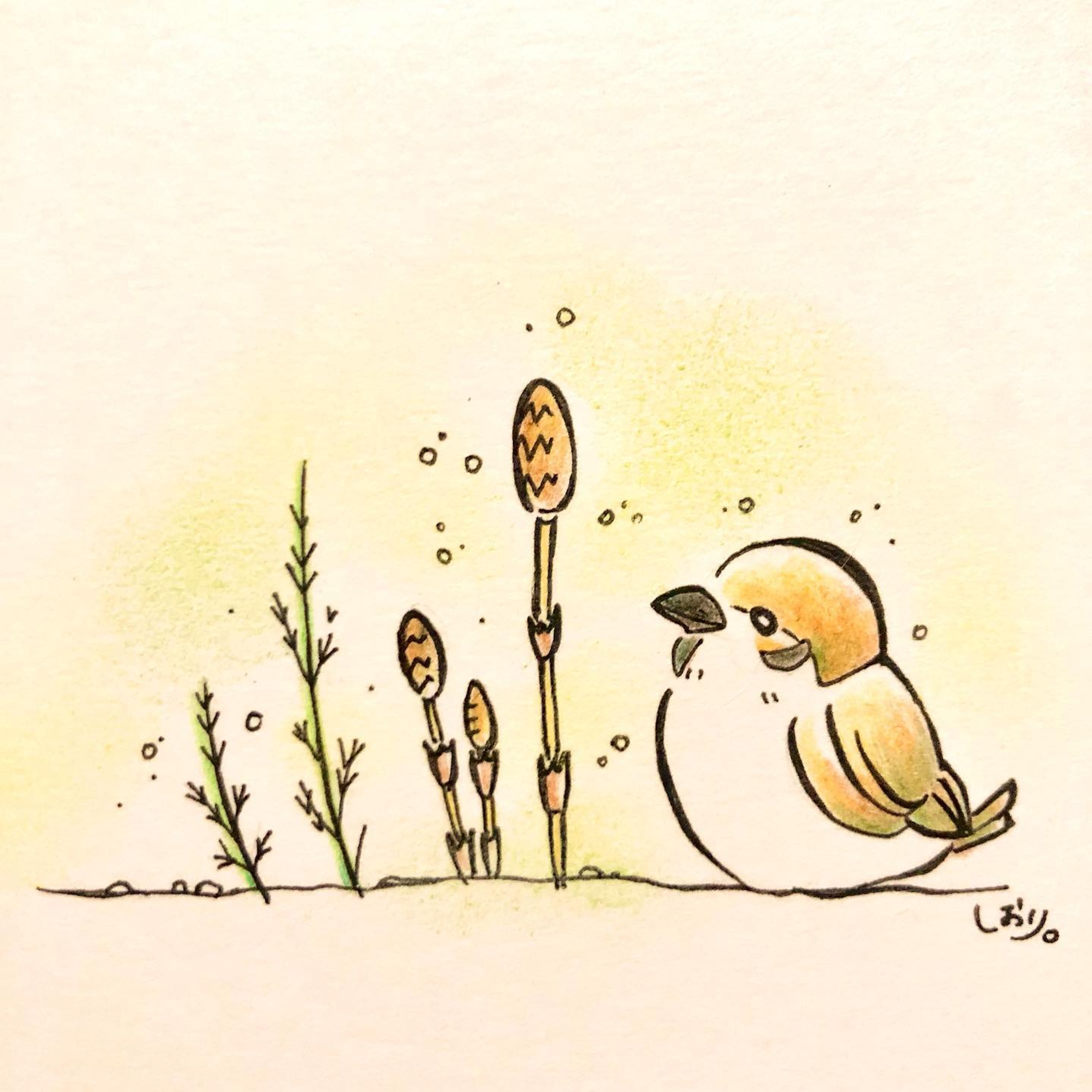 にょきにょき
ぽわぽわ

ふわふわまんまるすずめちゃん
次の冬にまたね🌱

一番私は春が好きだけど
きっと一瞬で夏になるんだろうなぁ

#すずめちゃん #もこもこ #つくし #にょきにょき #ぽわぽわ #春だなぁ #春のお散歩 #次の冬にまた #手描きイラスト #色鉛筆イラスト #手描きイラストオーダー #色鉛筆 #鳥イラスト #動物イラスト #イラストオーダー #ほんわかイラスト #シンプルイラスト #あったかイラスト-1