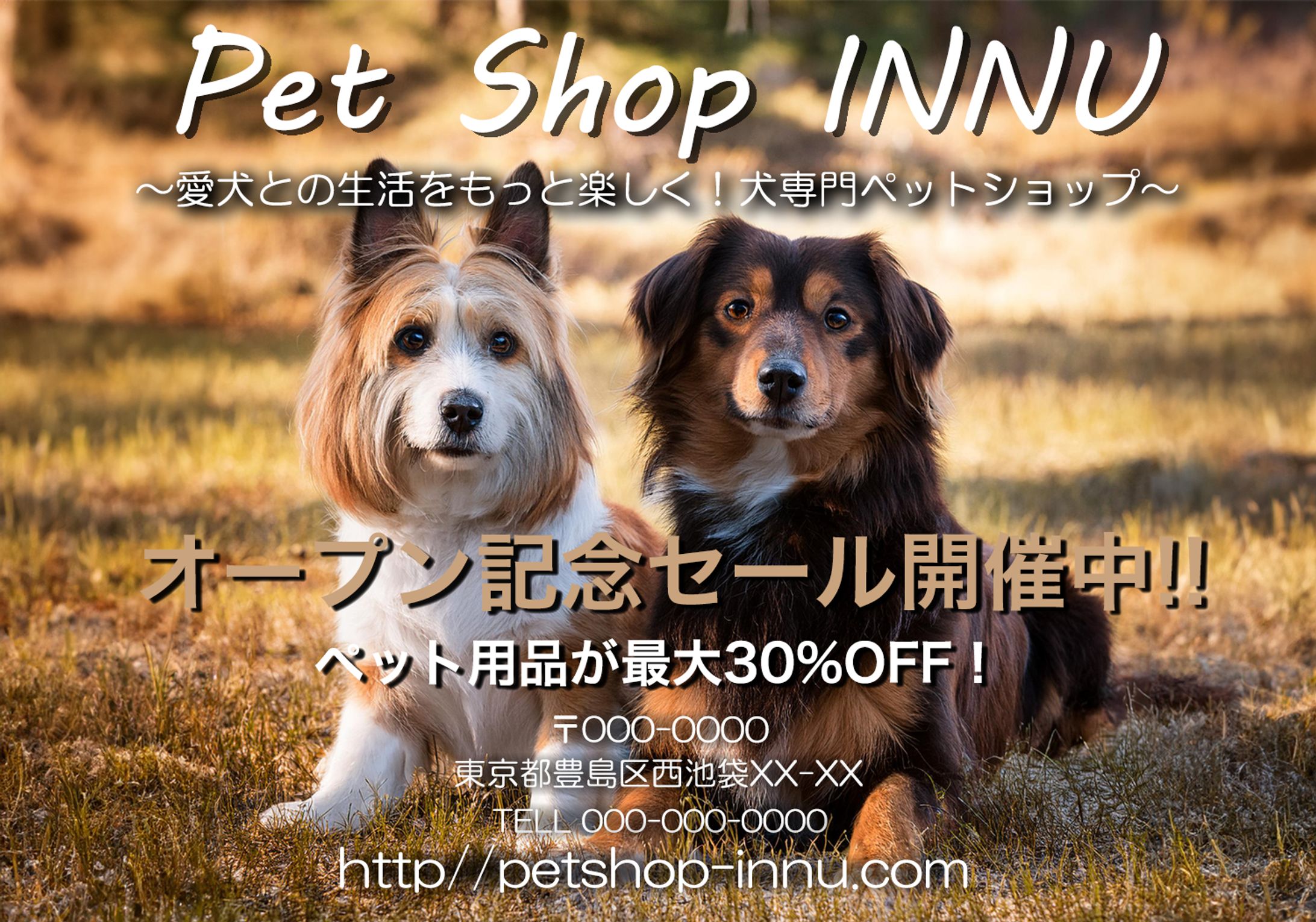 犬専門ペットショップ / DM-1