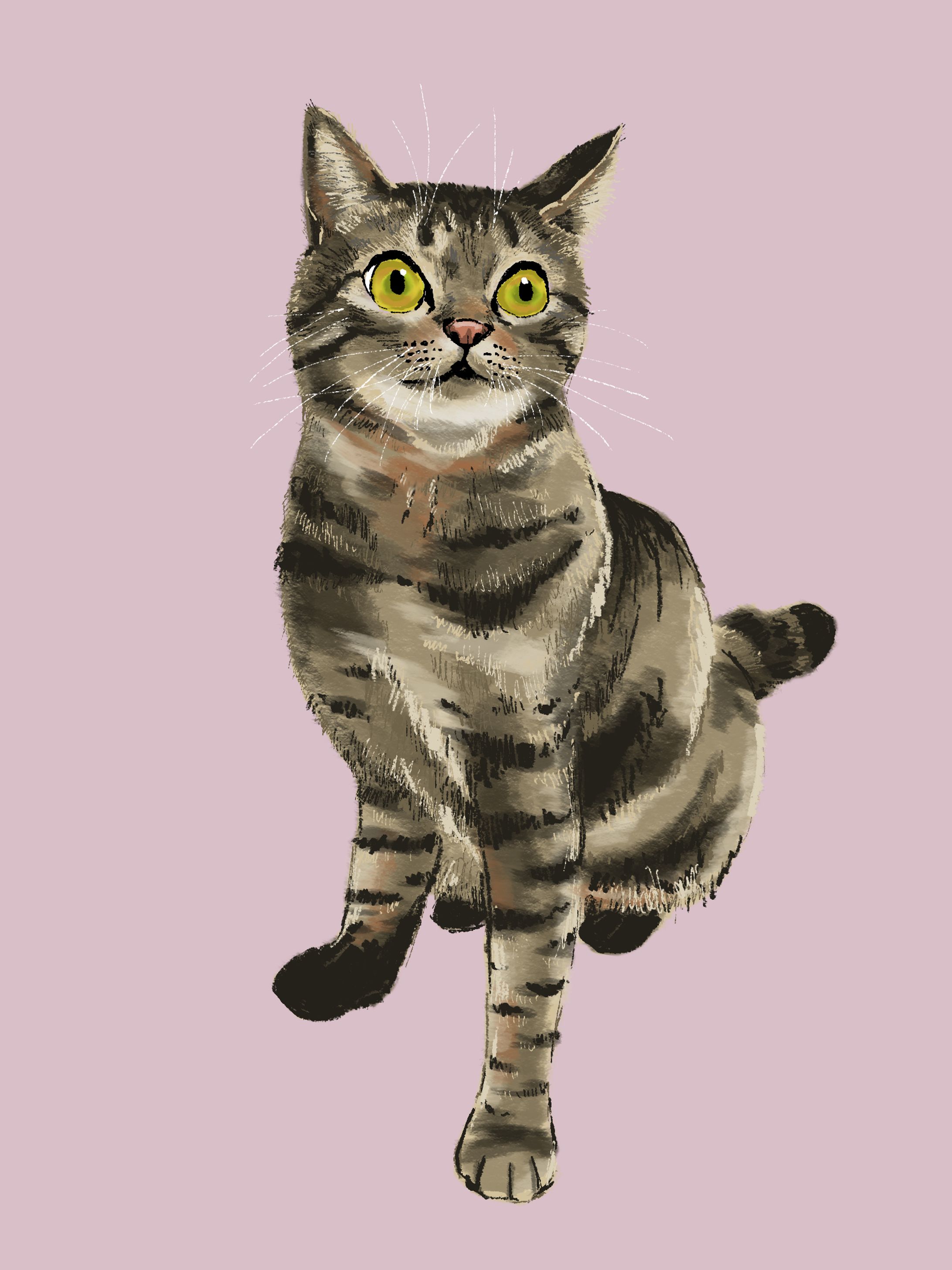 猫の絵⑦その他-1