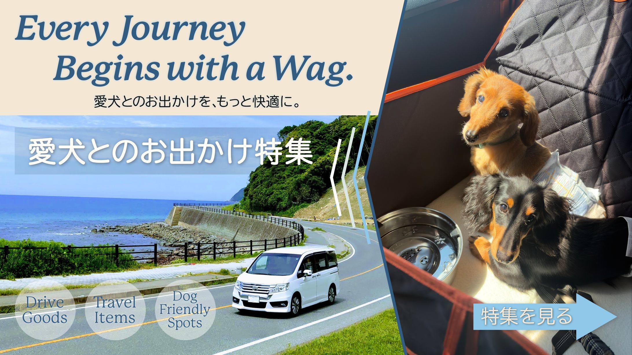 愛犬とお出かけ特集 架空バナー-1