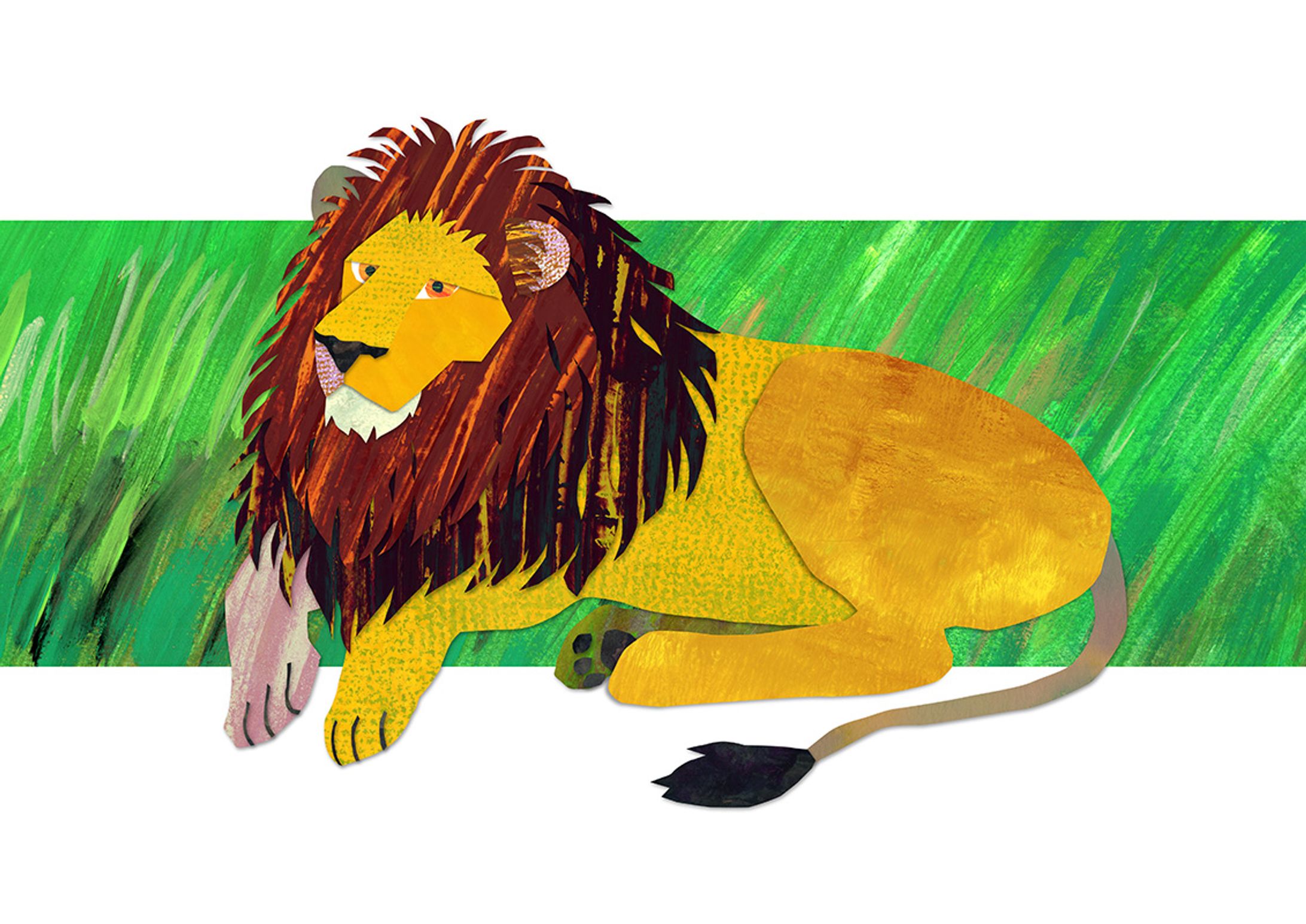 Lion-1