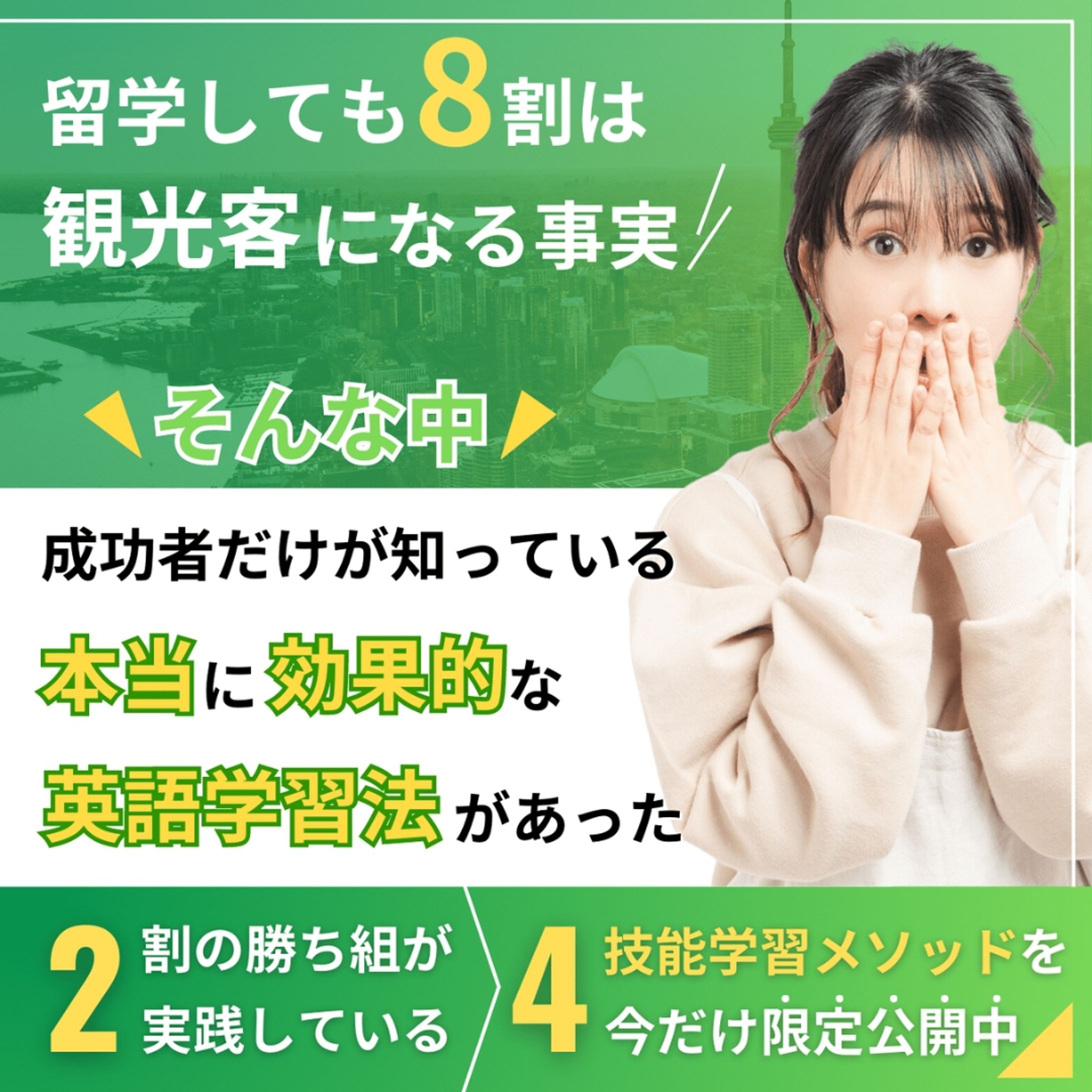 英語学習用メタ広告バナー-1