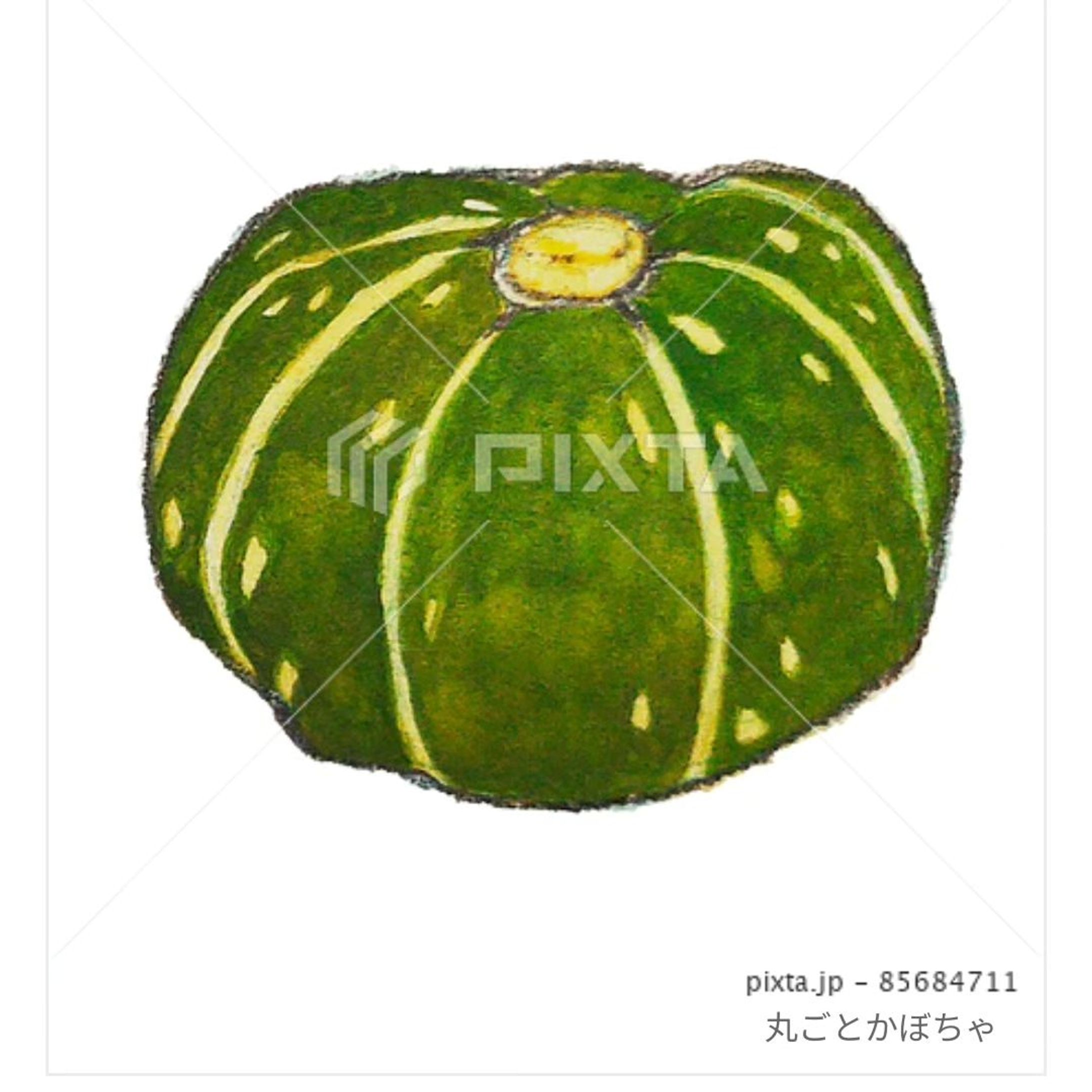 ⁡■【秋冬のお野菜】
ハロウィン…じゃないほうの、かぼちゃです！
⁡
⁡素材イラストとしてPIXTAさまにて販売中〜⁡
⁡よろしくお願いします⁡⁡🙇🏻‍♀️‪‪´-
⁡⁡⁡
⁡https://pixta.jp/illustration/85684711⁡
⁡⁡⁡
⁡⁡
⁡
⁡#素材イラスト #pixta #かぼちゃ #pumpkin #squash #watercolors #水彩色鉛筆 #illustration #イラスト #クライアントさんと繋がりたい #挿絵 #出版社さんと繋がりたい  #食べ物イラスト #野菜イラスト #雑誌のお仕事をしたいです #飲食店さんを応援したい #書籍のお仕事をしたい-1
