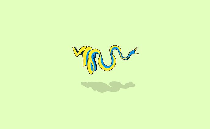 綺麗系、cm