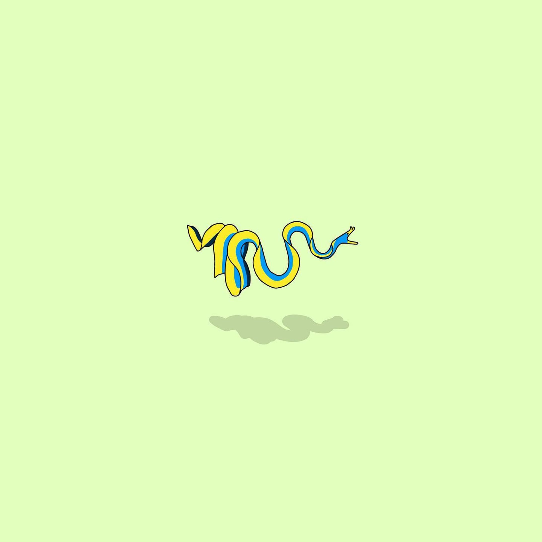 ハナヒゲウツボ-1