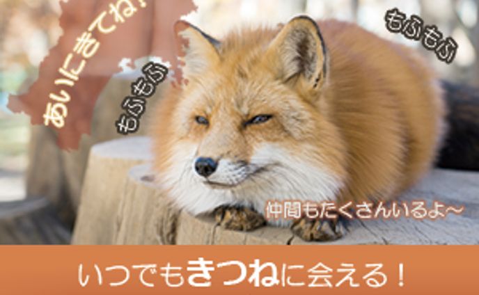広告バナー　きつね