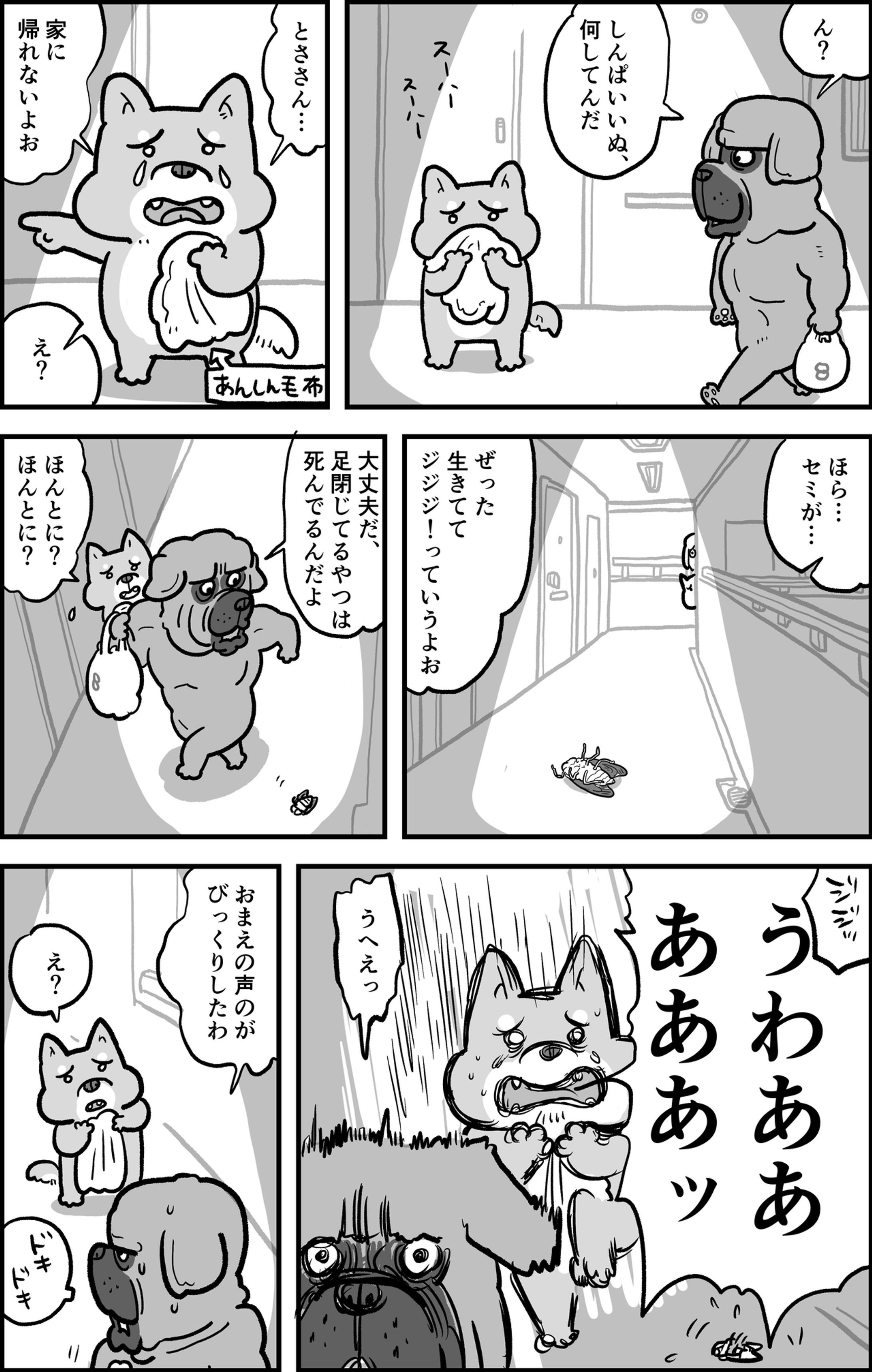 しんぱいいぬ-1
