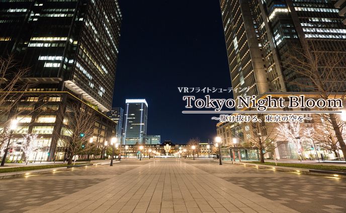 【第12回VRフェス出展作品】TokyoNightBloom