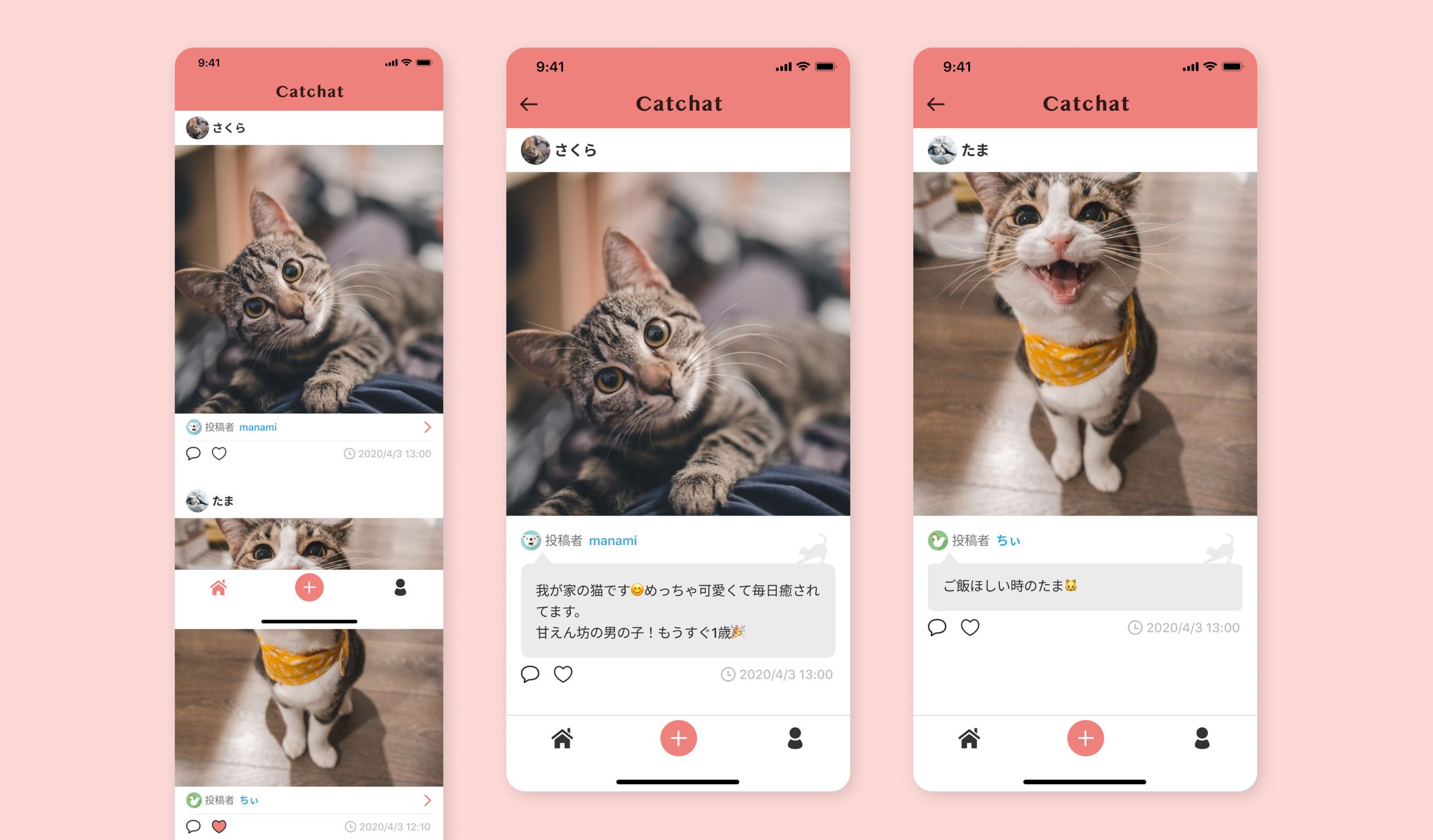 【課題】猫の飼い主のためのSNS-1