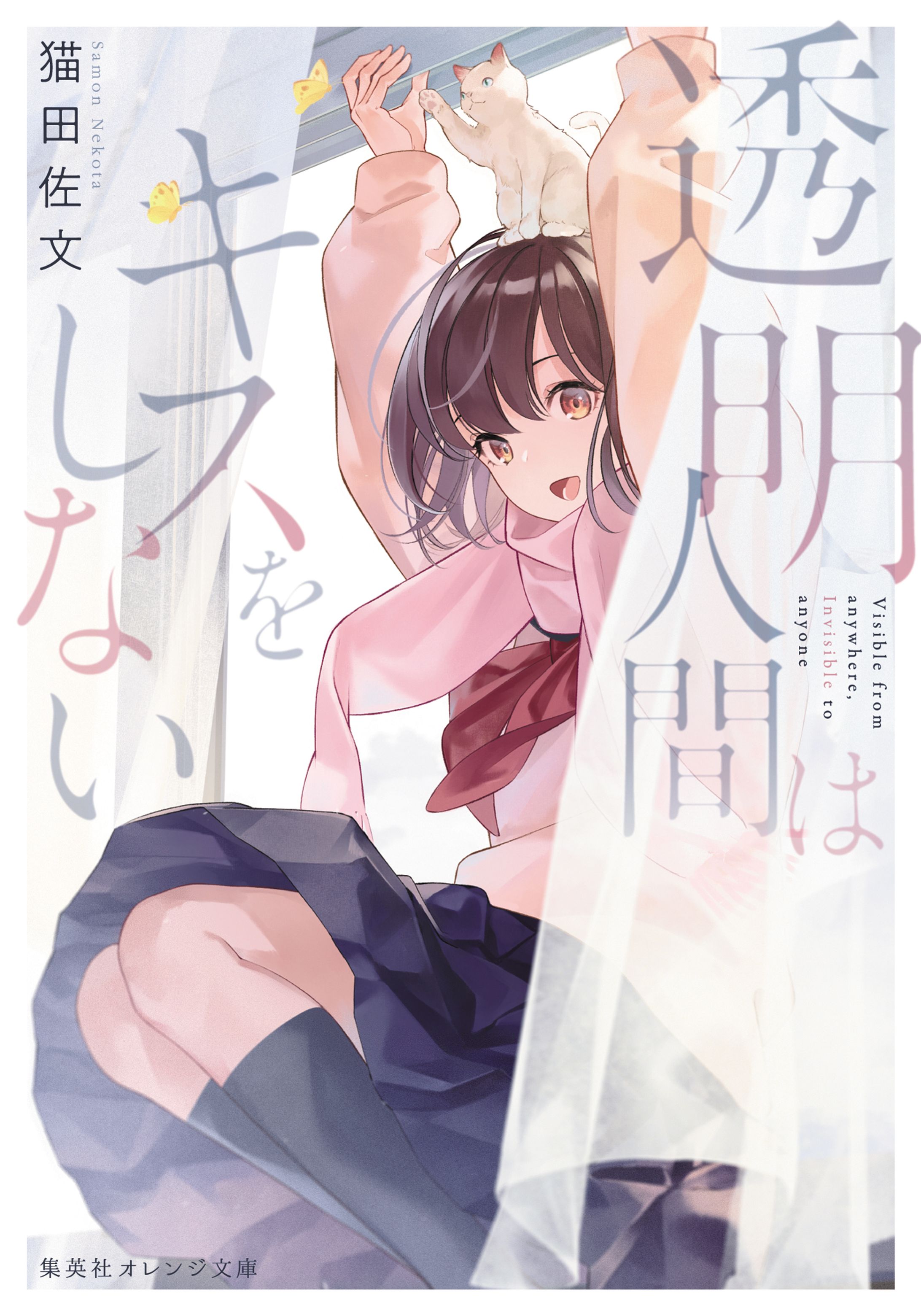 透明人間はキスをしない-1