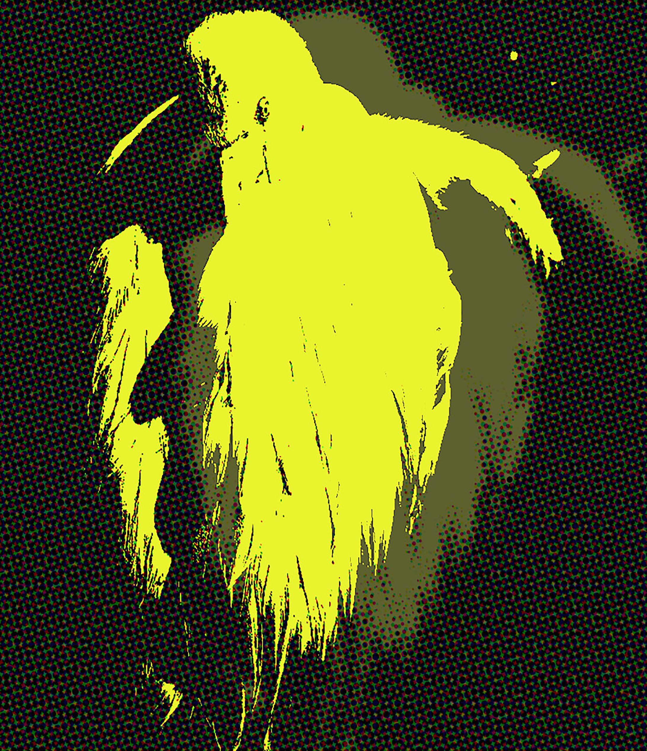 Flamingo Yellow-1