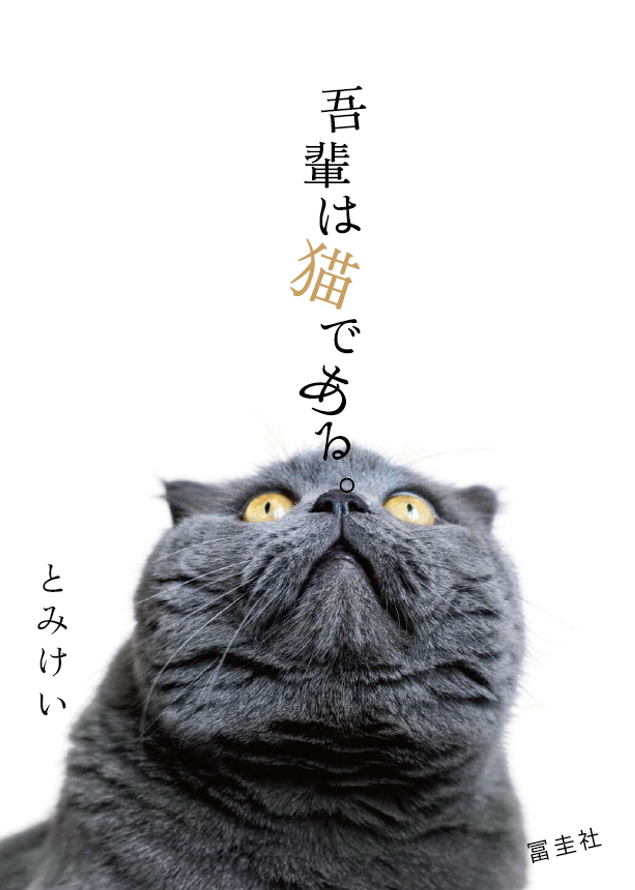 『吾輩は猫である』-1