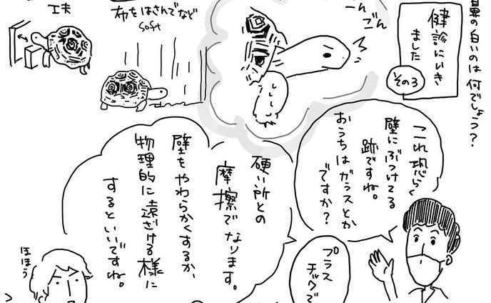 ようするにタコみたいな感じでしょうか。

#リクガメ
#ヒョウモンリクガメ
#健診
#かめのいる暮らし
#かめすきさんと繋がりたい 
#イラスト