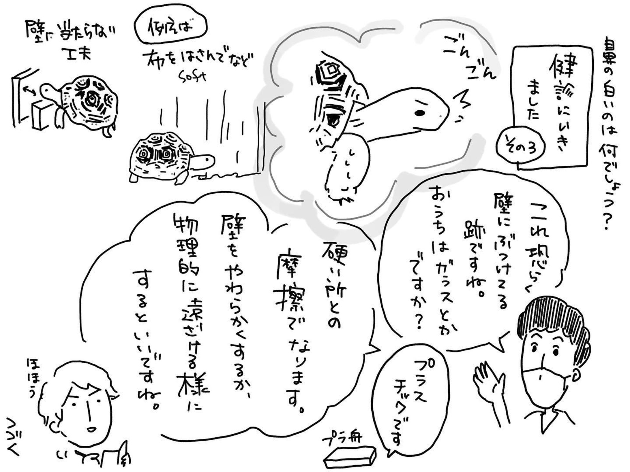 ようするにタコみたいな感じでしょうか。

#リクガメ
#ヒョウモンリクガメ
#健診
#かめのいる暮らし
#かめすきさんと繋がりたい 
#イラスト-1