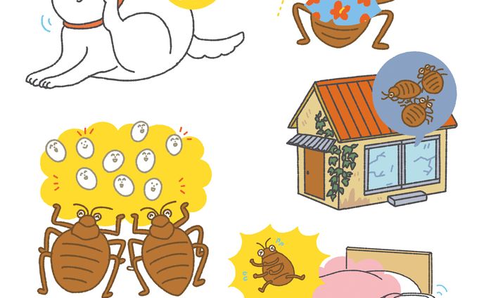 「家に入れない! 刺されない! トコジラミ完全対策BOOK」 (TJMOOK)