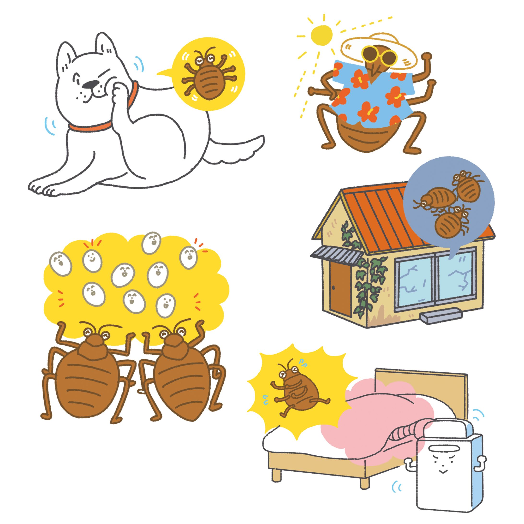 「家に入れない! 刺されない! トコジラミ完全対策BOOK」 (TJMOOK)-1