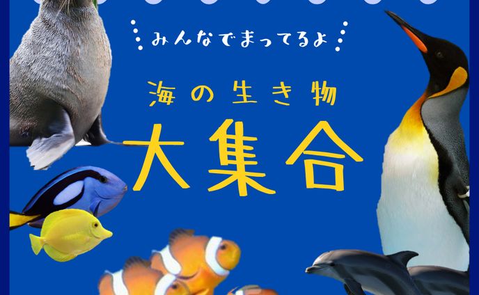水族館バナー