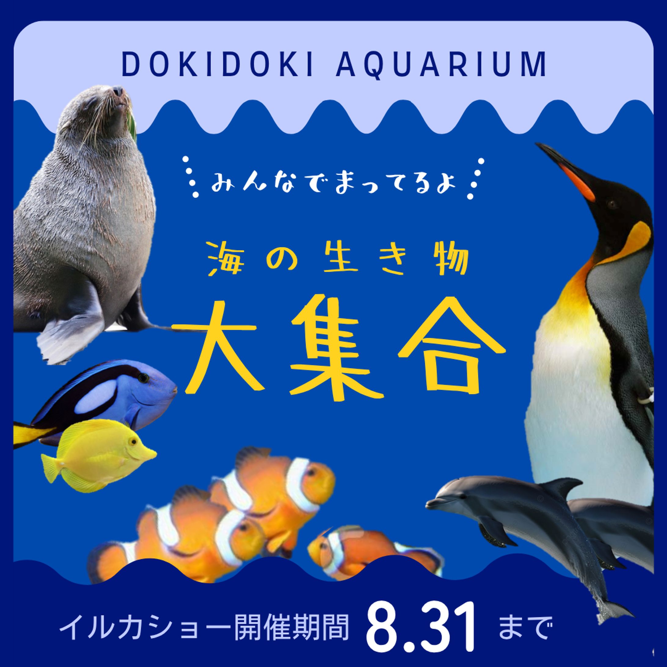 水族館バナー-1