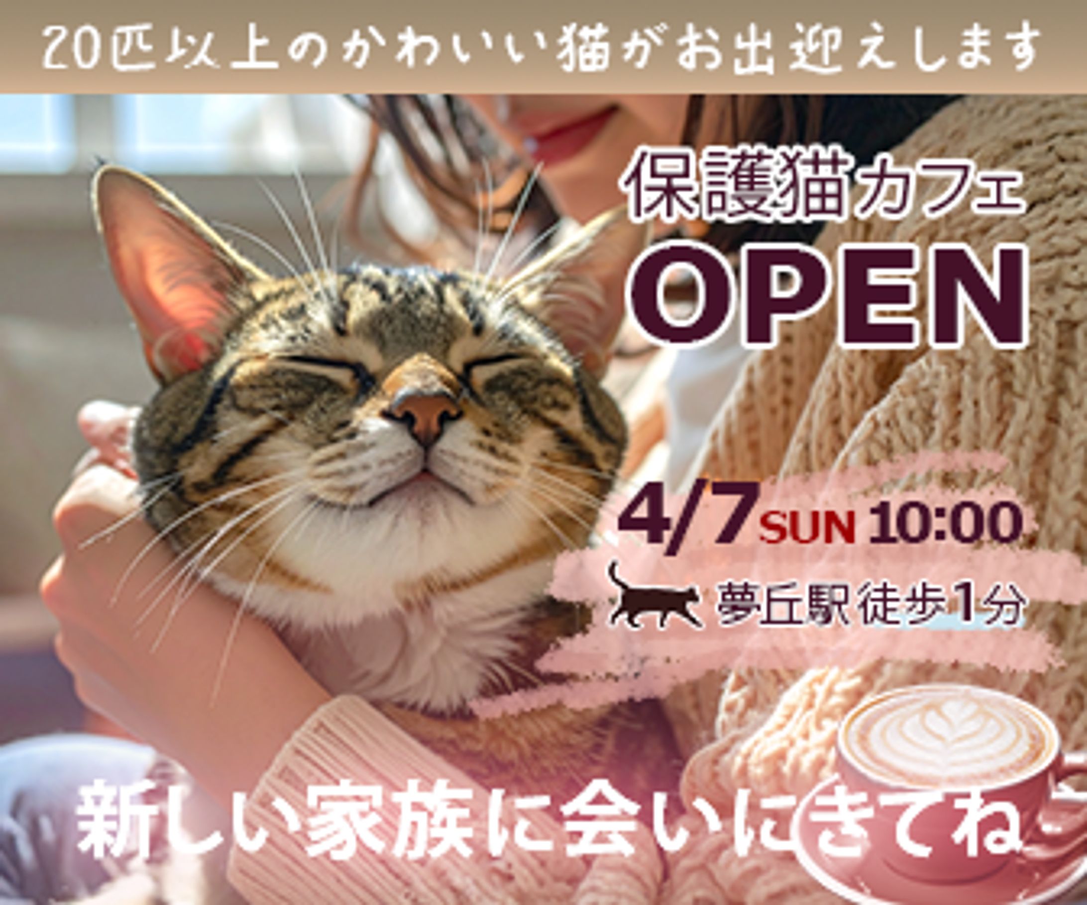 保護猫カフェバナー-1