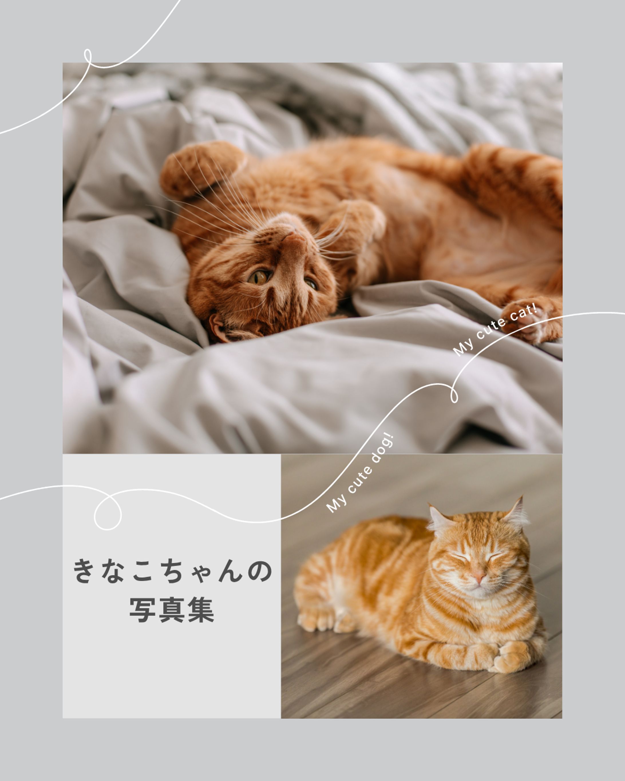 動物の可愛い一日-1