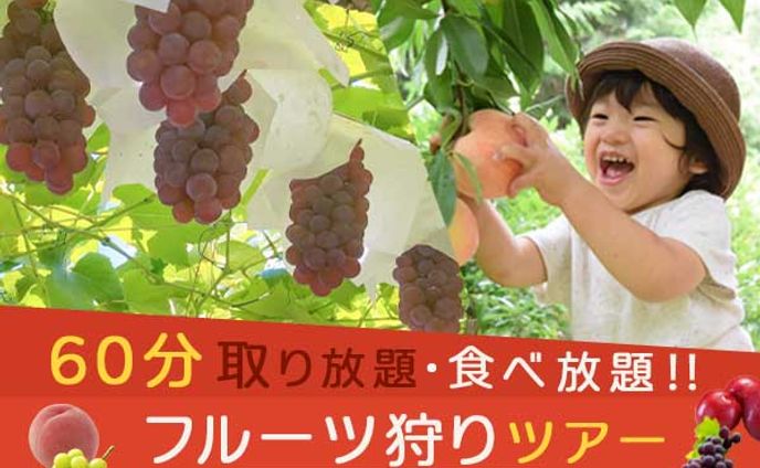 フルーツ狩りツアーバナー
