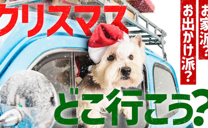 シンプルサムネ