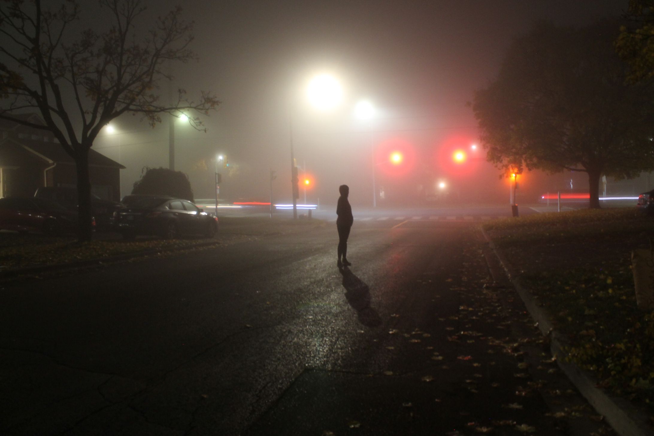 Foggy Days Collection-1