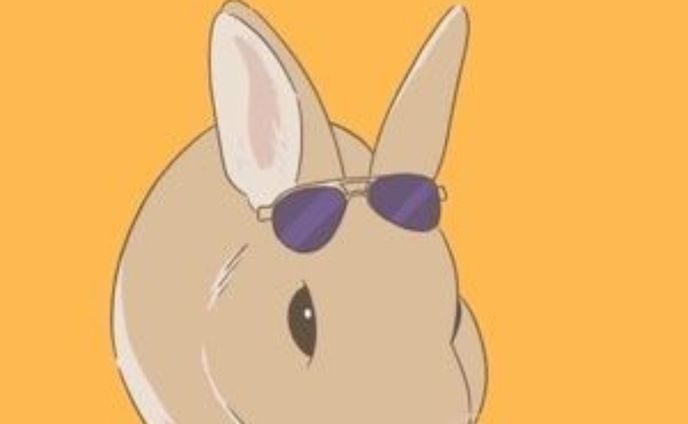 うさぎ