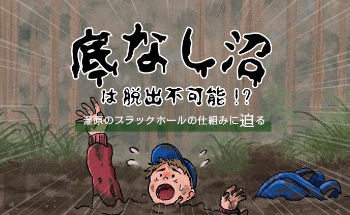 【底なし沼】は脱出不可能？湿原のブラックホールの仕組みに迫る