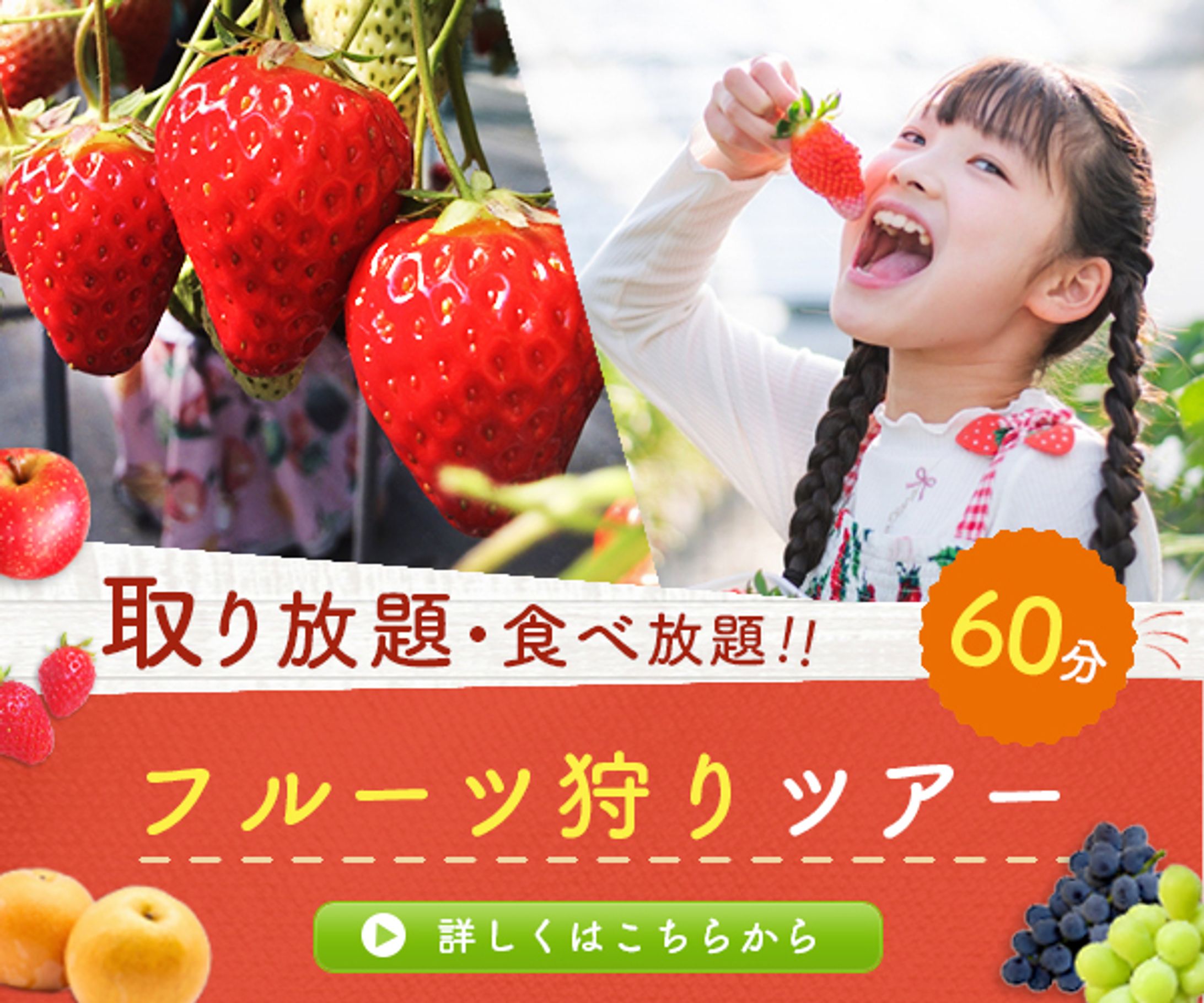 【広告バナー】フルーツ狩りツアー-1