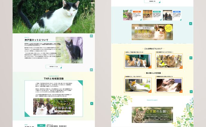 【模写サイト】神戸猫ネット（https://kobenekonet.com/）