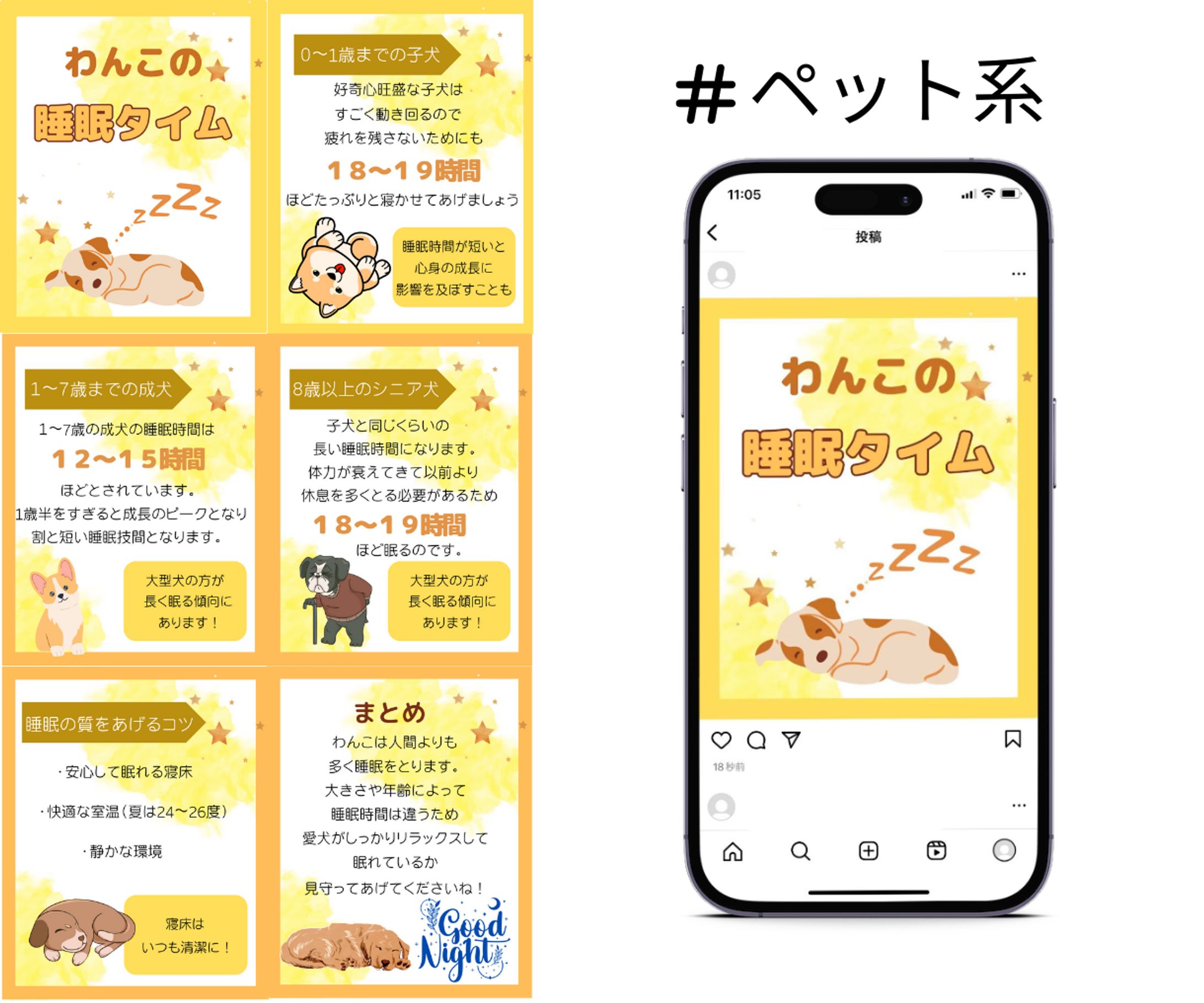 instagram投稿画像-1