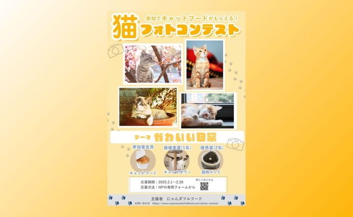（自主制作）猫フォトコンテストポスター