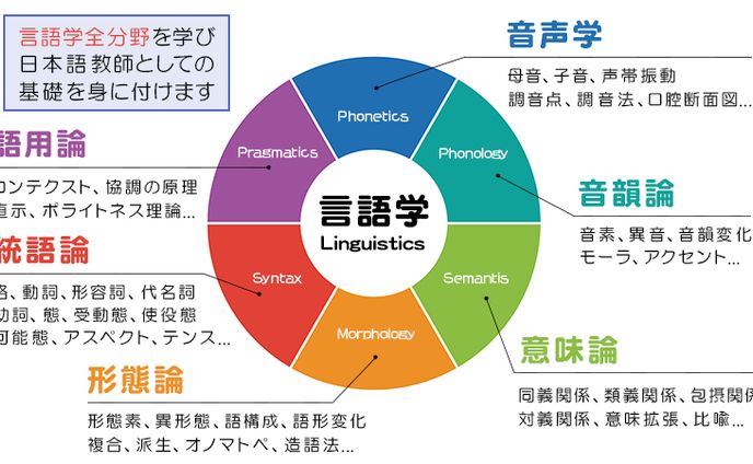 バナー：円グラフ 講座案内