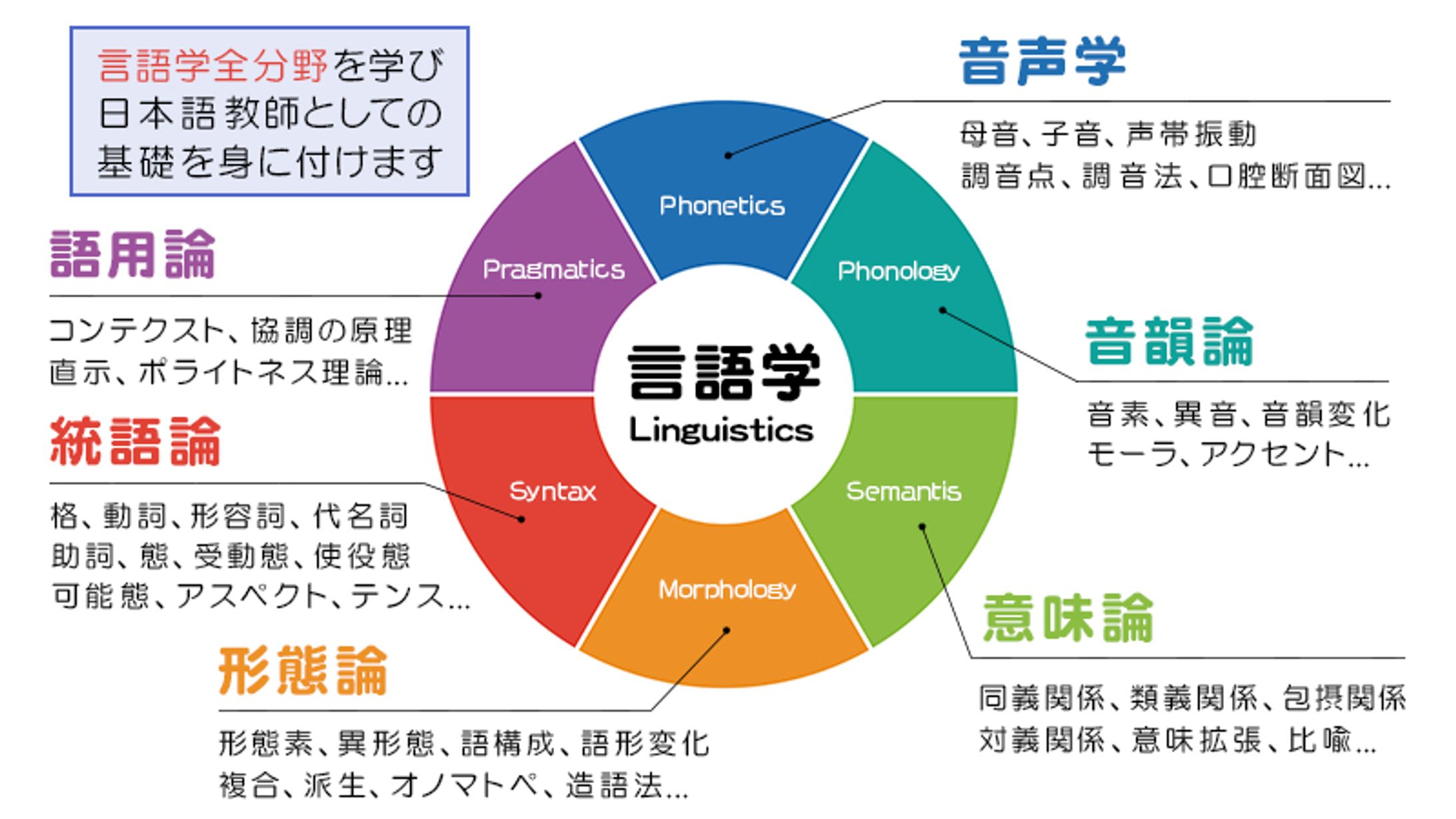 バナー：円グラフ 講座案内-1