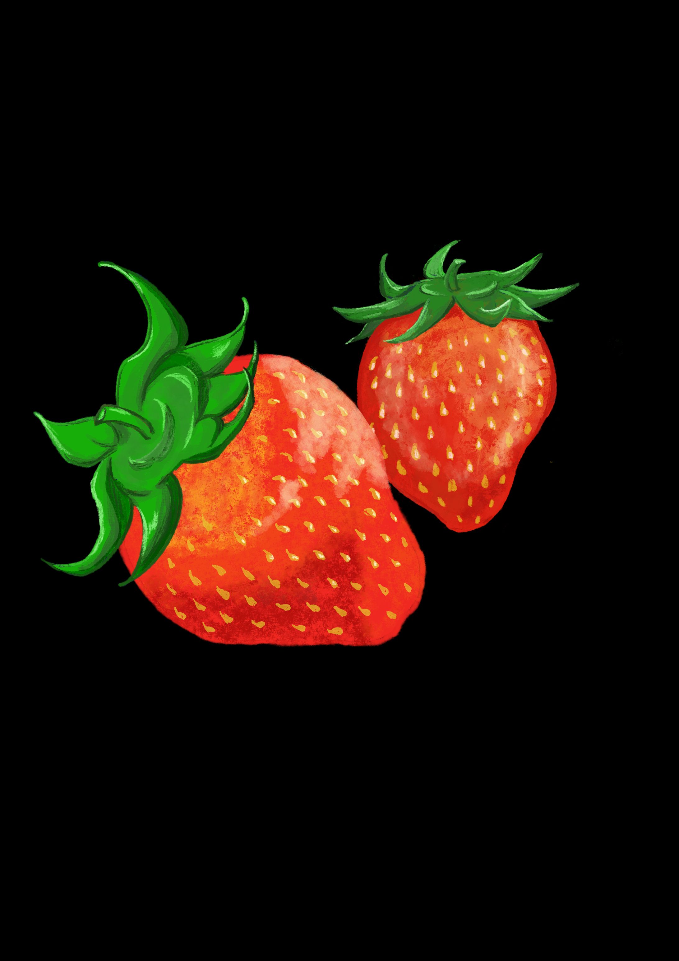 食べ物イラスト-1