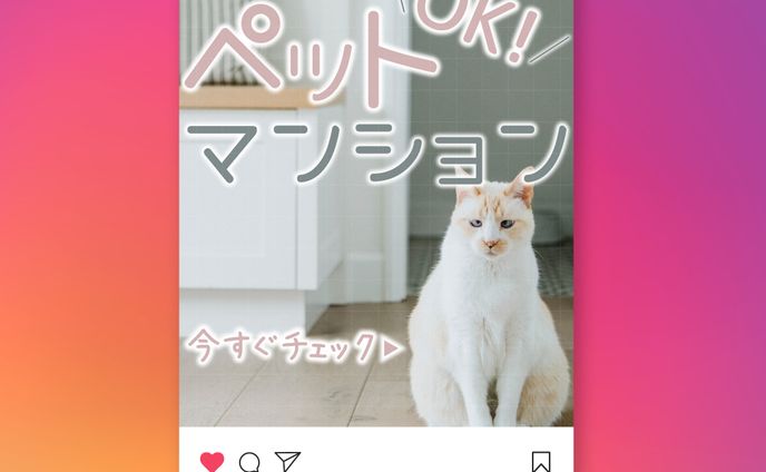 food、instagram投稿用
