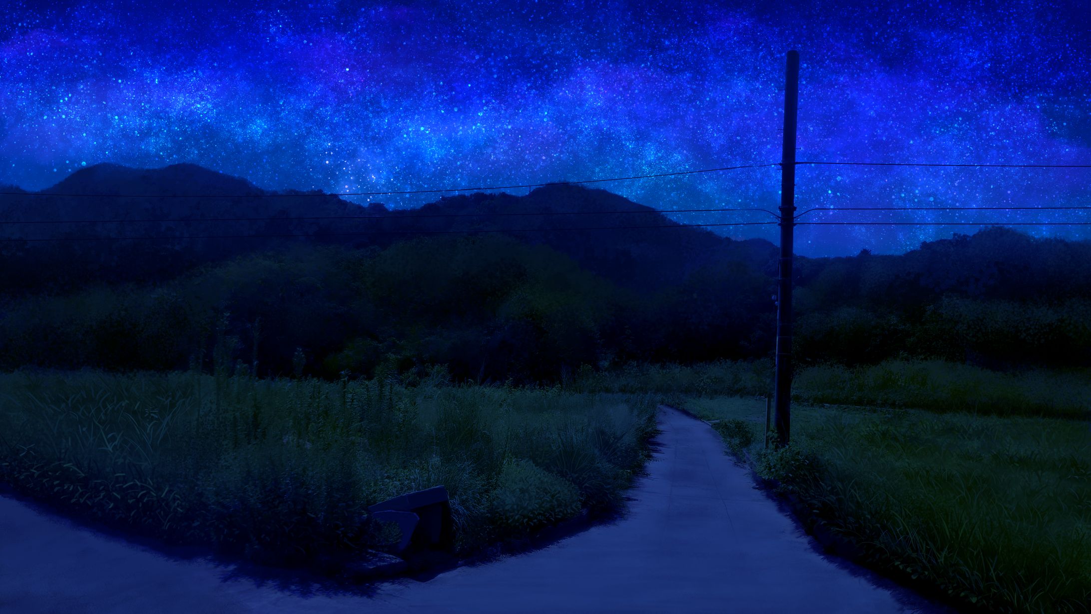 背景差分 田舎道 夜-1