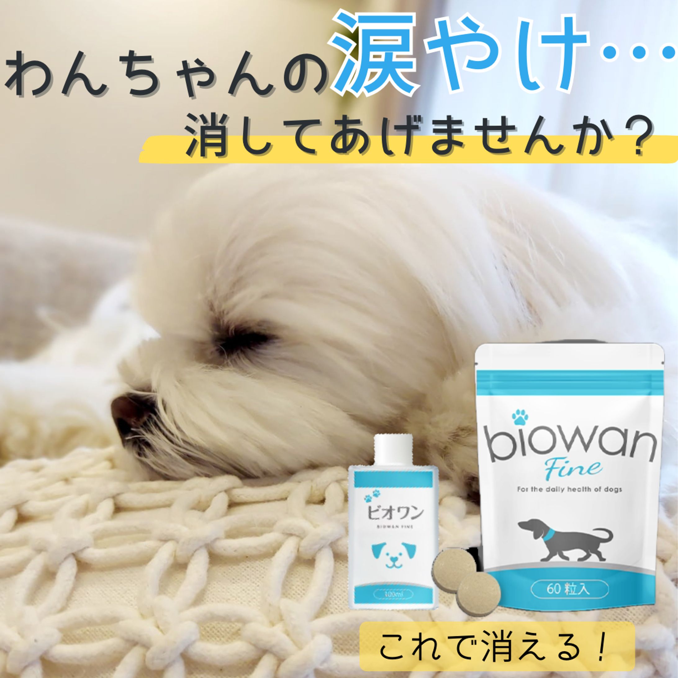 SNS広告のCR【biowan fine】-1