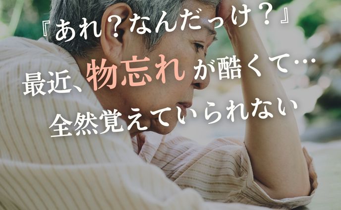 脳トレプログラム